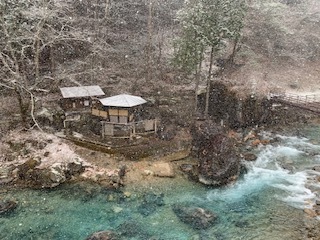 IMG_3324.jpg