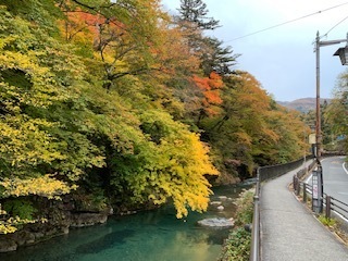 IMG_3792.jpg
