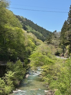 C460D308-C619-4013-96BF-5949266B59CE.JPG